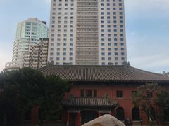 -南京钟山宾馆(江苏省会议中心)