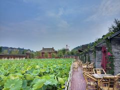 -渭南桃花源民俗文化园