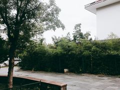 -乐天拉面(桃花街店)