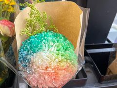 -溪岸路花鸟市场