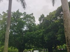 -荔香公园