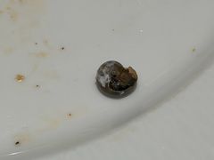 -无锡丽笙精选酒店