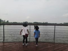 -东郊湿地公园