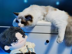 -零纪元VR体验馆·桌游(黄浦店)