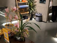 -施奈儿.洗头頭療.按摩SPA.采耳(上梅林店)