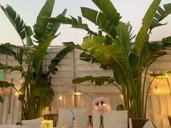 -天空花园餐吧·生日·团建(南山店)