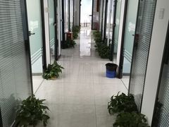 -新航道雅思托福·留学·考研培训(人民广场校区)