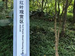 -广州市石门国家森林公园