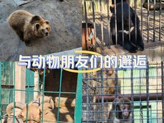 -保定市动物园