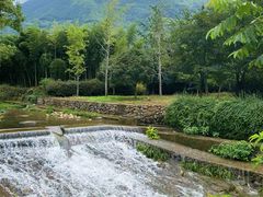 -东天目山风景区