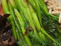 -新白鹿餐厅(百联中环店)