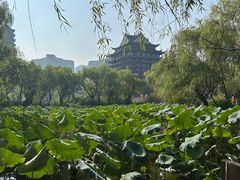 -长兴太湖图影湿地文化园