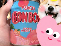 -青松大叔的店(东财店)