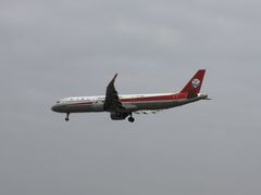 -空港花田景区