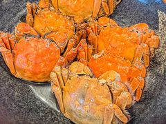 -马哥孛罗酒店·SAVVY全日餐厅