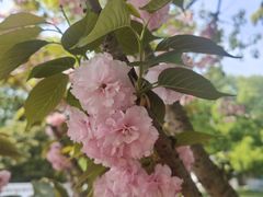 -蒋氏故居