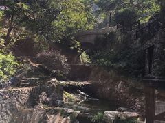 -宁海森林温泉