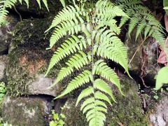 -藏龙百瀑风景区