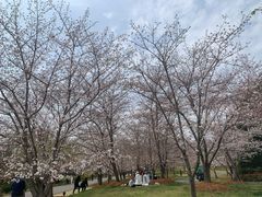 -自然谷恐龙园