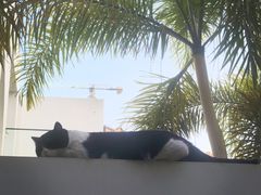 -西双版纳总佛寺