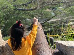 -胡里山炮台