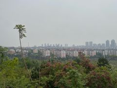 -府君山公园