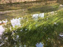 -桂林灵渠景区