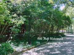 -上海市龙华烈士陵园