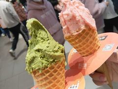 -野人先生现做冰淇淋(西安赛格店)