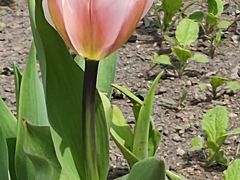 -长春公园(普阳街道)