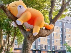 -西安电影制片厂