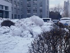 -东北大学(南湖校区)