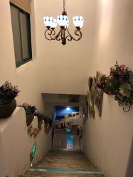 -娇玫荟SPA