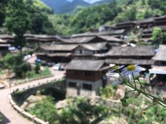 -林坑古村落