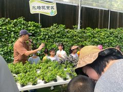 -新地休闲农场