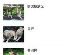 -哈尔滨北方森林动物园