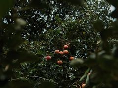 -黄公望隐居地
