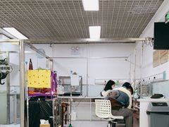 -达爱动物医院·犬猫分区·CT·复杂眼科(远洋山水分院)
