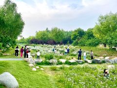 -汉长安城未央宫国家考古遗址公园