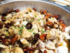 -百岁鱼(望月路店)