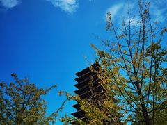 -牛首山文化旅游区