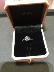 点击看大图 -Zbird钻石小鸟·钻戒婚戒定制高端珠宝私人定制中心