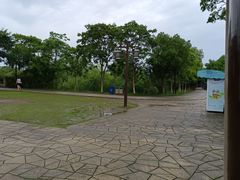 -苏州太湖国家湿地公园