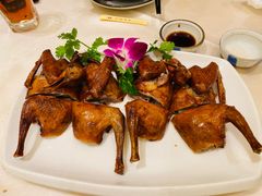 红烧乳鸽-沙龙酒家