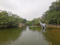-深圳野生动物园