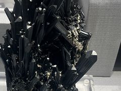 -湖南省地质博物馆