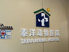 -泰洋动物医院·神经专科·磁共振·CT(天河公园总院)