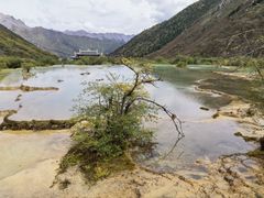-黄龙山原始森林景区