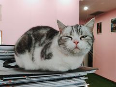 -炼呗运动康复·健身工作室(紫竹桥店)