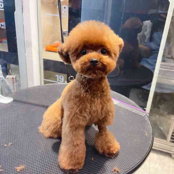 爱派宠物(珠江新城店)-"【项目】洗澡服务质量: 服务挺到位的,.